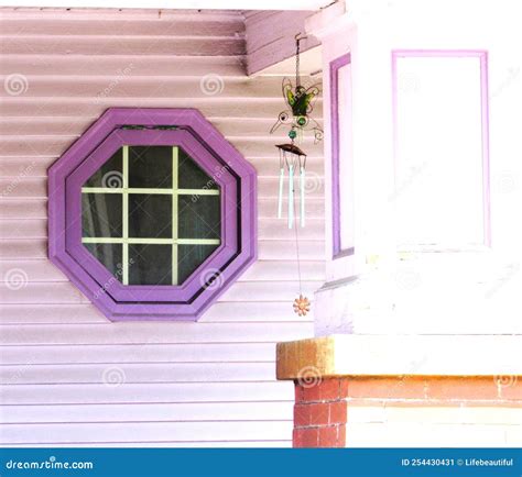 有情無情試根基 紫色房子
